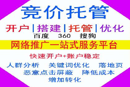 搜索引擎营销（SEM）托管服务在提升ROI方面的案例